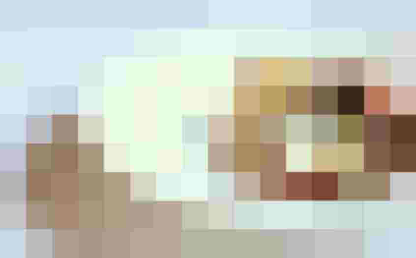 Fein angerichtetes Dessert mit Eis und Creme