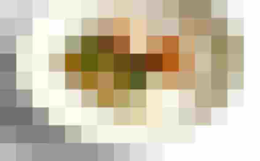 Gebräuntes Geflügel mit geschichteter Beilage, Kräutern, Blüten und hellem Schaum auf einem weißen Teller